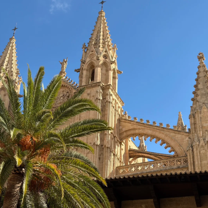 西班牙略卡岛|帕尔马大教堂+德拉赫洞穴+帕尔马海滩包车一日游