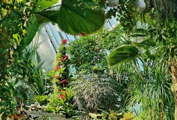 惠州植物园+红花湖+东坡祠+野岛文化生活区【沉浸式体验东坡祠文化，参与背诵赢文创，体验状元拓印】