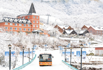 【包车游/跟团游】西岭雪山景区-含门票-纯玩无购物【[放心游玩]真纯玩，亲身体验“春赏杜鹃夏避暑，秋观红叶冬滑雪”美景】