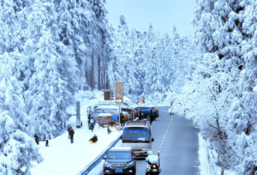 重庆武隆仙女山国家森林公园一日游 8人纯玩小团上门接【纯玩无购物，8人内拼车小团，商圈酒店上门接，不用自行前往集合】
