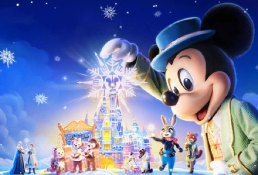 上海迪士尼度假区一日游【一对一管家8-10小时】不含门票【一对一管家贴身陪玩，灵活优化路线，高效打卡热门项目，告别盲目排队，轻松玩遍迪士尼！】