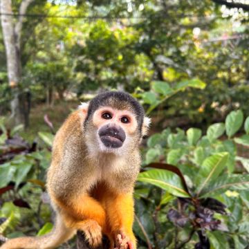 冲绳石垣岛半日游|钟乳洞·八重山村·川平湾·玉取崎展望台