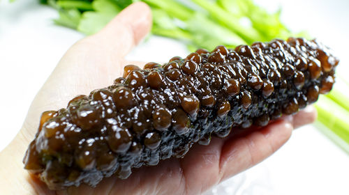 大连特产大连海参米刺身野生即食海参