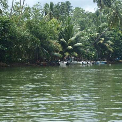 斯里兰卡加勒Madu River一日游