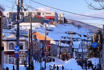 日本札幌-小樽八音盒朝里等/可登别富良野北海道多日包车-精选【包车一日游，解锁旅行新方式！独立车辆配备经验丰富的老司机，为您量身打造专属行程。】