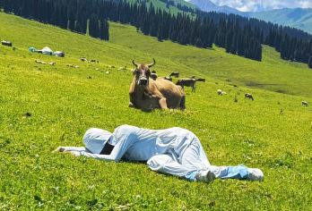 北疆伊犁包车游【行程可调多日】【中文专车】【1单1团私家团】【北疆伊犁包车游[行程可调多日][中文专车][1单1团私家团]】