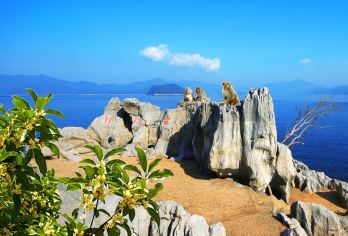 千岛湖东南湖区+黄山尖+桂花岛（猴岛）一日游《当地出发 》【纯玩登黄山尖观“天下为公”】