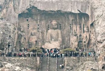 龙门石窟+白马寺+洛阳博物馆一日游【 学生老师半价优惠 】【纯玩无购物，景区含导游精讲，让您玩的舒心、省心、放心】