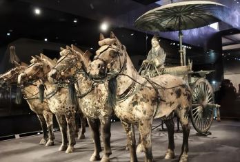 【轻奢私家团/一家一团】西安兵马俑一日游+专属管家+晚出发【西安三环内可上门接送，睡醒再出发，灵活调整行程节奏，景区游玩时间不限】