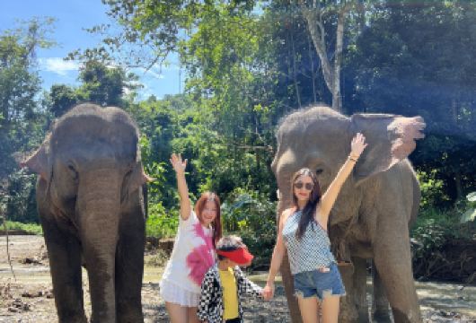 Walk原始森林大象营【与大象深度互动，感受大自然的魅力】【近距离与大象互动，感受与自然世界的深度交互。】