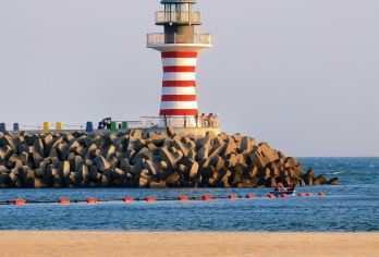 上海外滩+朱家角古镇+影视乐园+南京路步行街一日游可英文服务【外滩霓虹映百年风云，朱家角橹声摇江南梦，影视乐园穿越旧时光，南京路潮涌国际风。】