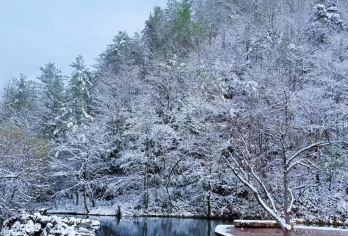 汉中留坝·狮子沟·紫柏山·情人谷纯玩1日游【陕西版的“阿勒泰”，秦岭深处的世外桃源】