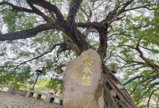 【泉州出发】南靖云水谣+永定高北土楼一日游独立包团【[专属服务]1单1车，一台车一整天只为您服务 ，不拼团告别拥挤，上门接送更省心，天天发团灵活选】