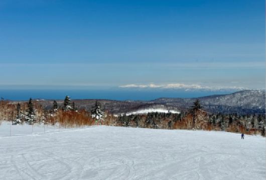 日本+札幌国际滑雪场一日游【无教练，中文司机协助办理租借手续【运营期间： 2025年12月10日～2026年3月31日 （2人成团）】