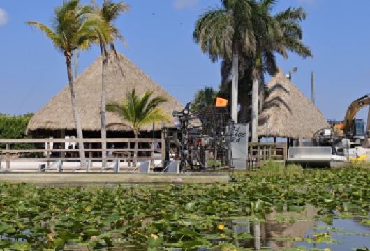 美国+迈阿密大沼泽地国家公园一日游/行程可调-可定制【包车一日游，解锁旅行新方式！独立车辆配备经验丰富的老司机，为您量身打造专属行程。】