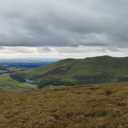 瑞士苏黎世+苏黎世湖+班霍夫大街+周边景点包车游/可定制全境