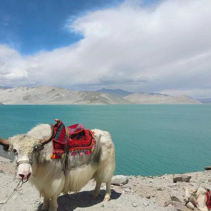 新疆白沙山-白沙湖景区+慕士塔格峰-喀拉库勒湖景区一日游