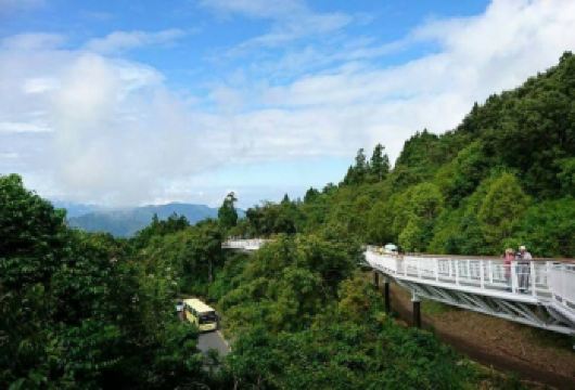 台湾阿里山国家风景区+日月潭+清境农场日游（三＊天两＊晚）【阿里山五大奇景：千变万化的阿里山日出、浩瀚无垠的云海、绚丽多彩的晚霞、森林及闻名世界的阿里山火车。】