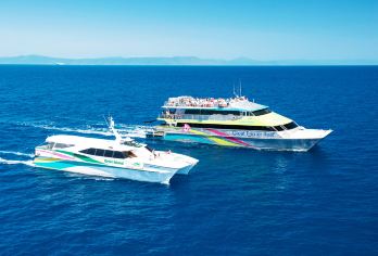 凯恩斯绿岛big cat大猫号游船出海一日游【目的地绿岛离岸近，可以漫步雨林，参观海洋公园，晕船星人友好】