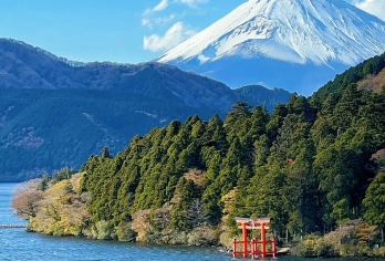 日本箱根缆车大涌谷芦之湖江之岛一日游【热】【纯玩团】