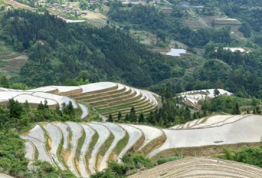 阳朔：私人接送至龙脊梯田，途中经停桂林市区【可在阳朔的任意酒店接车 可提供5座、7座、19座、36座或52座的轿车或巴士 您可以更改您想要的行程】