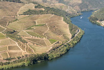 葡萄牙+波尔图+吉马良斯+葡萄牙建国起原地【可定制+暑假】【专业省心+贴心司导+专属服务】