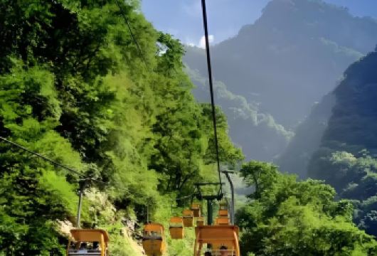 太平国家森林公园一日游【往返直通车含门票】三环内上门接送【精品小团 西安三环内上门接送 /不早起无购物/真纯玩】