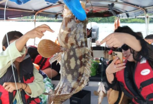 兰卡威五合一跳岛游（含趣味钓鱼和烧烤午餐）湿米岛 孕妇岛【游泳与翱翔：享受白拉士岛水晶般清澈的海水，并在新加大沙岛观赏令人兴奋的老鹰喂食表演】