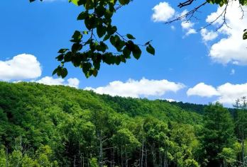 日本北海道美瑛+旭川一日游【私家包车/中文司机/至尊服务】【尊享一对一高端行程定制，多日豪华包车专属礼遇，专业旅行顾问24小时恭候垂询。】