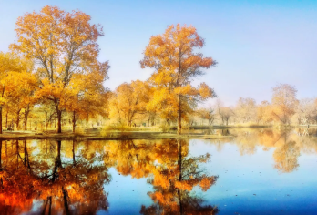 新疆南疆包车自由行｜乌鲁木齐至喀什⑥日环线·时间景点任调配【缤纷景点：喀什古城City Walk ，体验南疆人文特色：温宿大峡谷，千佛洞，喀什古城，香妃园】