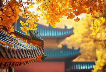 北京故宫博物院一日游【赠珍宝馆门票+3h导游深度讲解】【穿越历史长河，探寻故宫之美，一段关于皇家宫殿的梦幻之旅！】