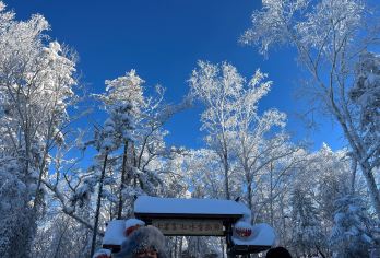 雪乡 一日游【大秃顶山+冰雪画廊+马拉爬犁+戏雪乐园+雪乡】