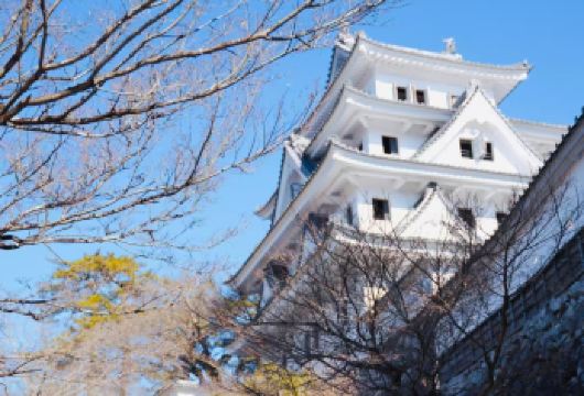 名古屋郡上八幡+飞驒高山+白川乡合掌村一日游【每日发团，4人成行】