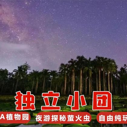 云南中科院西双版纳热带植物园夜游