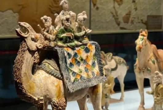 陕西历史博物馆一日游【基础馆+珍宝馆 大咖讲解 】【[1]专业大咖讲解老师 全方位2.5深度讲解， 让您真正的了解中国历史文化】