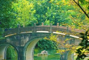 杭州西湖+浙江省博物馆+清河坊街+拱宸桥一日游-可英文服务【可提供英文及小语种导游服务-往返接送-可选导游-可代订门票】