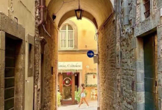 意大利锡耶纳老城+奥尔恰谷一日游【中文私享包车/景点任选】【尊享一对一高端行程定制，豪华包车专属礼遇，专业旅行顾问24小时恭候垂询。】