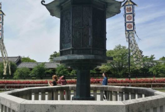 日本大阪京都+ 奈良公园+清水寺一日游/行程可调-可定制多日【包车一日游，解锁旅行新方式！独立车辆配备经验丰富的老司机，为您量身打造专属行程。】