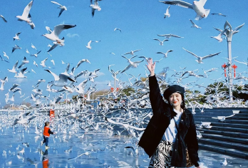 石林风景区+滇池一日游【二环上门接+金牌导游带队+赠午餐 】【[品质纯玩]打造云南高端旅游体验，一手地接社，三年0投诉自家发车纯玩无购物，尽情畅游。】