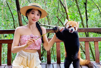 普洱太阳河森林公园+中华茶博览苑一日游【市区接送+含观光车】【[尊享体验]市区酒店接送，精致小团出游，不奔波不赶路，睡醒晚出发，体验度假慵懒时光；】