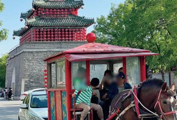 曲阜三孔景区·孔庙孔府精品讲解【9人精品小团】非遗马车游【精选多年资深、经验丰富导游，专业讲解，贴心服务】