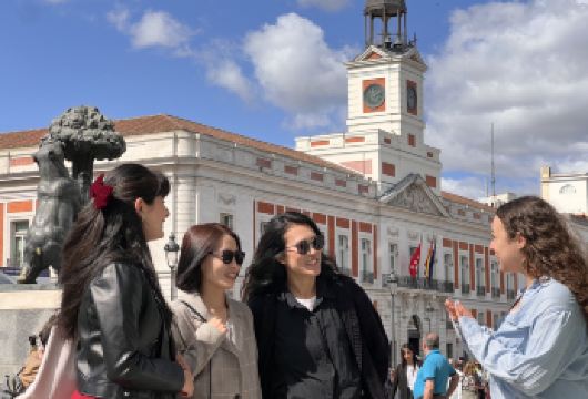 「马德里」老城区徒步+弗拉门戈之夜：西班牙文化体验之旅【傍晚徒步探访马德里皇宫、阿穆德纳大教堂与太阳门广场等地标】