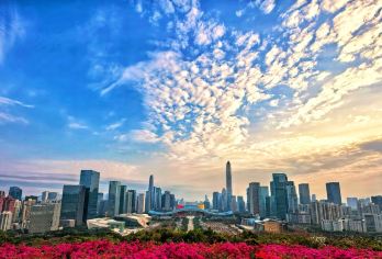 香港-深圳包车一日活动私家团 深圳湾公园+莲花山公园+海上世界【香港包车直达深圳，一日内串联深圳城市观景、滨海休闲与文化艺术，领略深圳不同侧面的魅力】