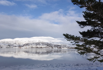 挪威斯沃尔韦尔+罗弗敦群岛-可多日定制【包车-跟团询客服】【中文专车出行，景点灵活调整，打卡经典，游玩自己定义，无需等待，专属贴心服务，尽享惬意旅程】