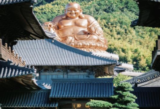 宁波溪口-滕头旅游景区一日活动【 蒋氏故居+雪窦山弥勒大佛】【奉化溪口一天：雪窦山景区+蒋氏故居一日游，人文与自然景观相结合】