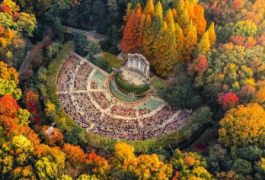 中山陵景区+音乐台+美龄宫+梧桐大道【私家团3小时人工讲解】【[无线耳麦]避免嘈杂环境，听讲解更沉浸！】