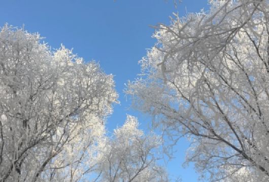 吉林市雾凇岛一日游【吉林出发舒适空调大巴专业导游带团】【吉林省十佳旅行社、五星旅行社、吉林省有影响力旅行社，下单后客服即刻对接，[品质保障]】