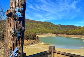 翠峰湖环山步道+见晴怀古步道+鸠之泽温泉【太平山一日拼车游】【春天赏白樱花，夏季避暑，每年四~九月赏枫红，秋天黄金山毛榉季，一年四季都值得探访！】