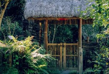 腾冲北海湿地+银杏村+火山地热国家地质公园一日游中英文服务【湿地草排划秋色，银杏黄金雨漫村，火山热海蒸云霞，腾冲三绝醉云南】