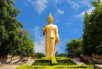 西双版纳野象谷十基诺山十大佛寺一日游（1单1团私家+含门票）【独立团，开心游版纳，超舒心安逸】